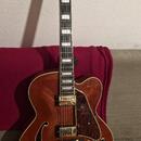 IBANEZ AF95-DA