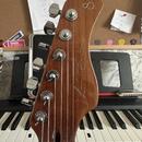 Stratocaster Sire Larry Carlton