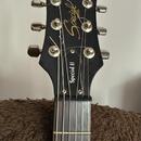 Epiphone Speciál II