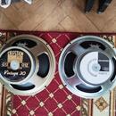 Predam Git. Reproduktor  Celestion G 12T75