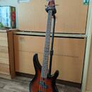 Prodám elektrickou basu Yamaha TRBX174EW RW 