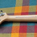 Fender Player Duo Sonic