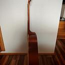 ART & LUTHERIE CEDAR