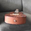 ukulele Ortega RU5MM-TE + obal