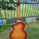 Kytara    Rex Archtop (Graubner 1960)