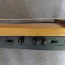 Yamaha Silent guitar