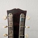 Gibson B-25