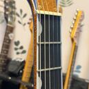 PRODÁM/VYMĚNÍM: Gretsch Falcon (Cerulean Smoke)