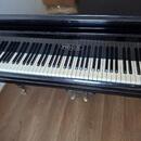 Prodám piano / křídlo Rous – 10 000 Kč