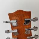 Les Paul Jay Turser