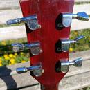 1970' Gibson SG Standard - možná výměna za Ford Focus
