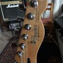Fender Telecaster Standard Mexico