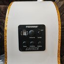 Prodám 12strunnou elektroakustiku Gretsch G5022CWFE-12 Ranch