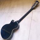 Burny Les Paul Custom "The Revival."