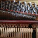 Pianino Rous