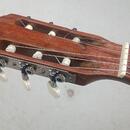 KLASICKÁ KYTARA SCHNEIDER + STRUNY SAVAREZ 500CJ New Cristal
