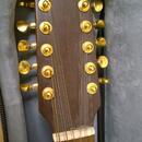 12-strunná kytara Cremona acoustic