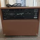 Fender Acoustasonic 90