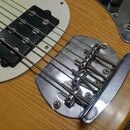 Povedená kopie MusicMan