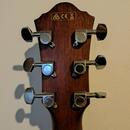 Ibanez AEG50L (left handed)+ Fender Acoustasonic 15