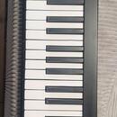 Alesis V49