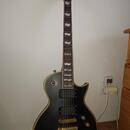 ESP LTD EC-401