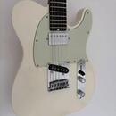 Schecter PT Nick Johnston