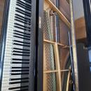 Prodám piano / křídlo Rous – 10 000 Kč