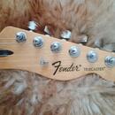 Fender Telecaster Standard Artic White 09/2016