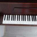 Pianino PETROF (mod.115 III) - Po gen. opravě, jasný původ
