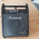 Roland PM-10