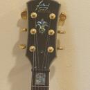 Fokus Guitar Semi-Hollow ES-335 style TOP stav, krásný javor