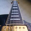 Burny Les Paul Custom "The Revival."