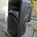 Mackie SRM450 v2