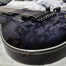 Schecter Hellraiser Hybrid C-8 TBB 8-strunná gitara
