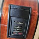 12strunná elektroakustická kytara