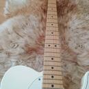 Fender Telecaster Standard Artic White 09/2016