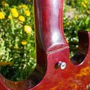 1970' Gibson SG Standard - možná výměna za Ford Focus