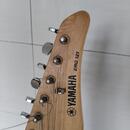 Yamaha Erg 121