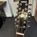 12 strunná Yamaha APX 700 II
