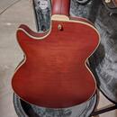 D'Angelico Deluxe DLX SSTP Semi-Hollow Single Cutaway