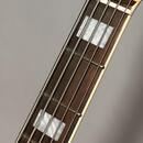 Vyměním Sire Marcus Miller V7 Alder-5 2nd Gen