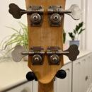 GIBSON RD Standard Bass 1977 (cena k jednání)