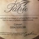 Godin Patrie concert
