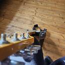 Telecaster Focus blueburst