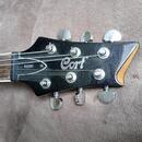 Cort
