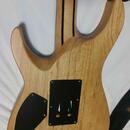 Kytara Schecter Reaper-6FR