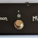 Strymon MULTIswitch Plus