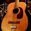HARMONY H1270 SOVEREIGN 12-STRING JUMBO