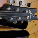 Applause AE38